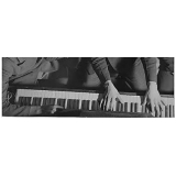 escolas de musica com aulas de piano Sumaré escolas de musica com aulas de piano Sumaré